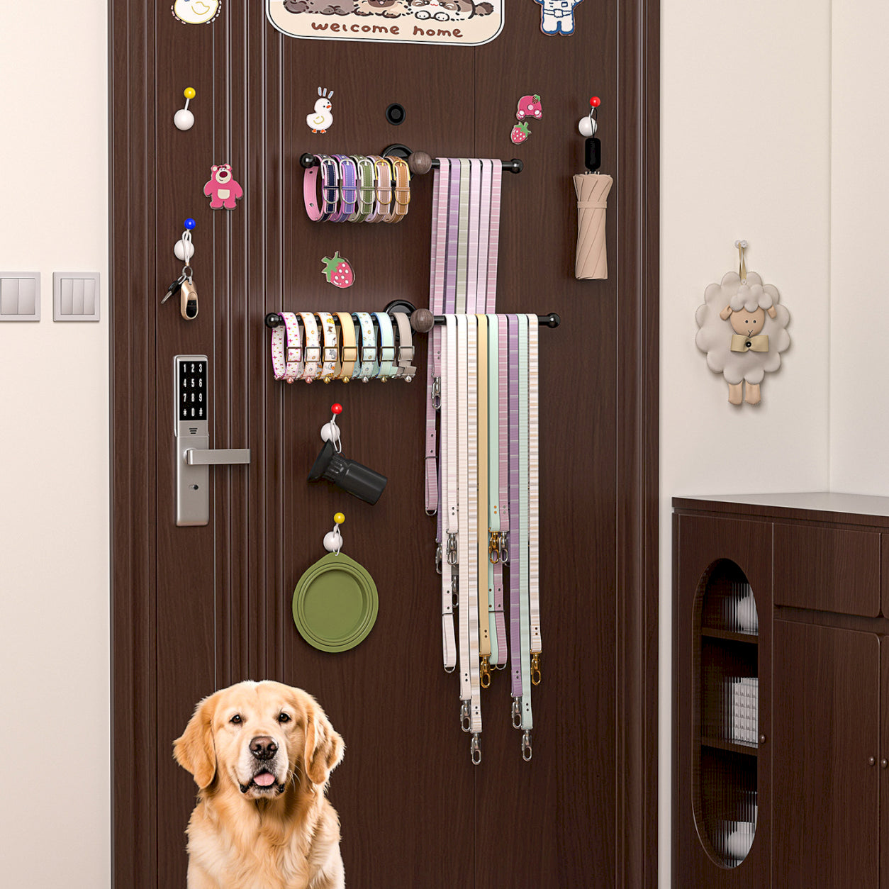 No-Drill Dog Leash Organizer Rack